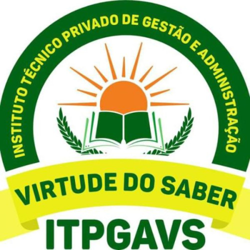 INSTITUTO VIRTUDE DO SABER 